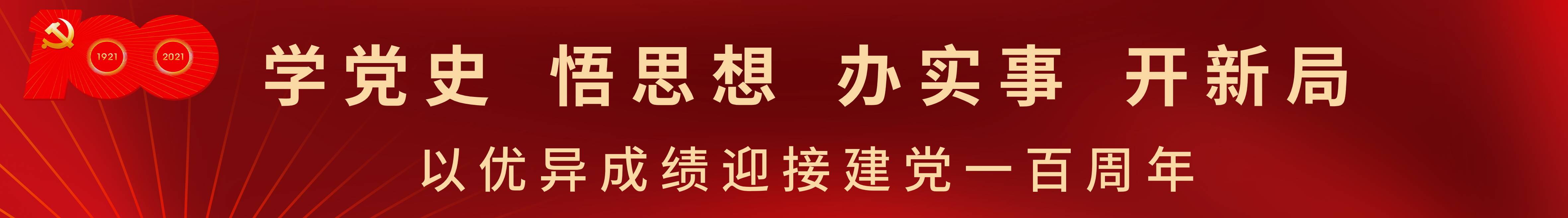 学党史 悟思想 办实事 开新局