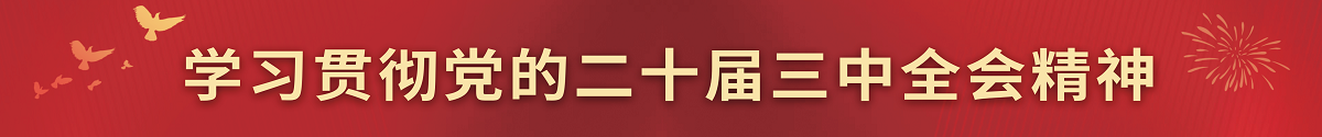 学习贯彻党的二十届三中全会精神